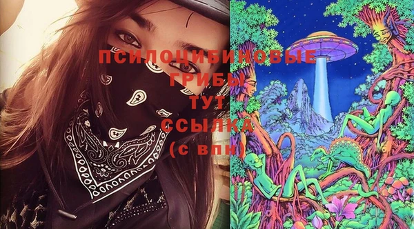 тгк Белокуриха