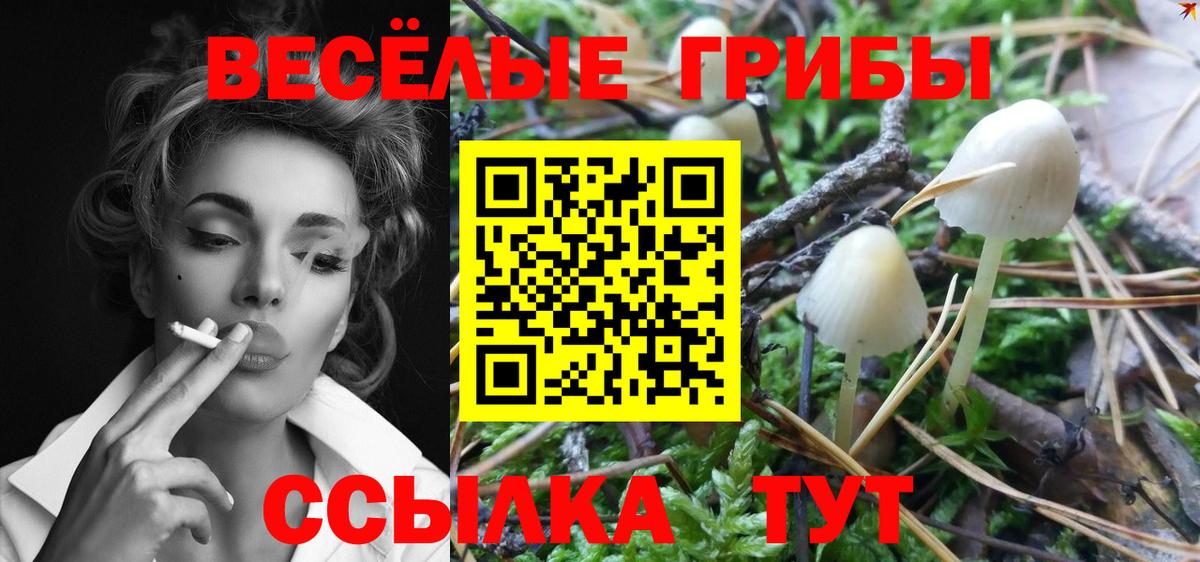 Псилоцибиновые грибы Psilocybine cubensis Острогожск