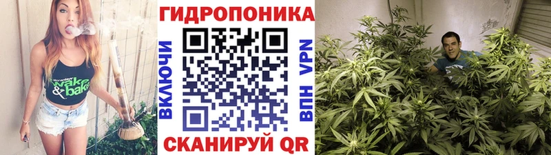 Бошки Шишки семена  МЕГА зеркало  Острогожск 
